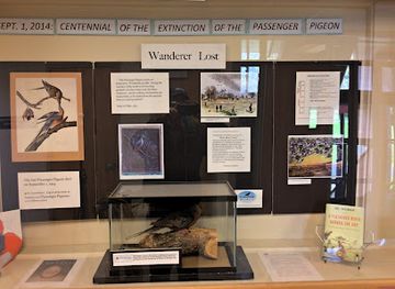 maine/aroostook-county/landmark/northern-maine-museum-of-science