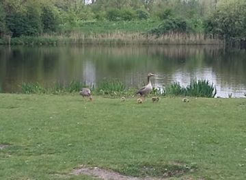 netherlands/betuwe/landmark/jonatan-frenk-memorial-bench