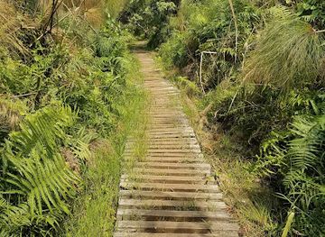 uganda/kibale-national-park/landmark/kafred