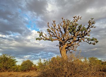 kenya/samburu-national-reserve/landmark/namunyak-wildlife-conservancy