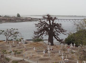 senegal/joal-fadiouth/landmark/protected-area-in-fadiouth