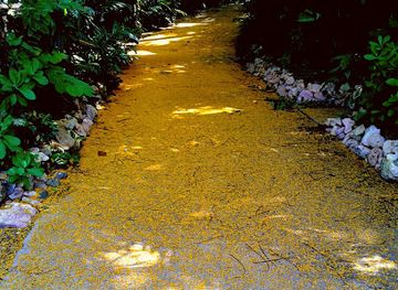 louisiana/greater-new-orleans/landmark/holy-cross-historic-district