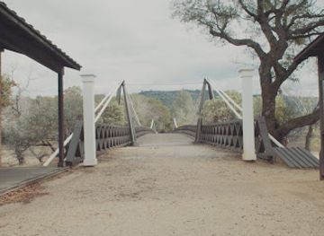 california/shasta-cascade/landmark/mother-orange-tree-of-butte-county