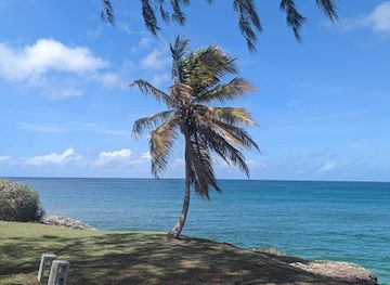 barbados/saint-joseph/landmark/captain-larry-s-ebikes