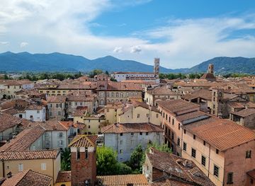 italy/tuscany/landmark/guinigi-tower