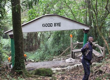 cameroon/east-region/landmark/mount-cameroon-national-park