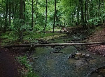 denmark/nastved/landmark/councilman-garden-herlufsholm-forest