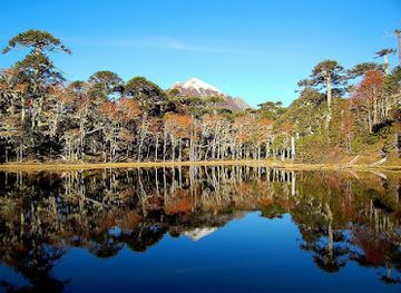 chile/valdivia/landmark/vivelo-excursiones-valdivia