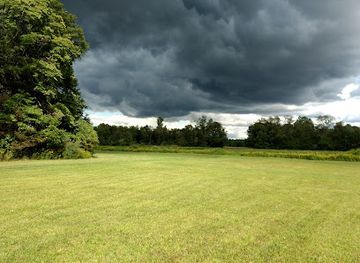 ohio/maumee-bay-state-park/landmark/maumee-state-forest