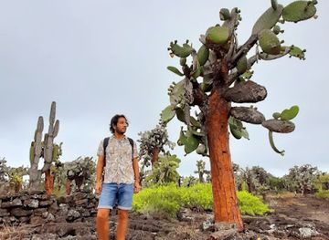 ecuador/galapagos-islands/landmark/uniquely-galapagos
