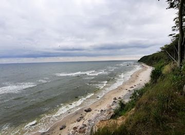germany/rugen-island/landmark/marchenwald-auf-rugens-nordwest-halbinsel-wittow