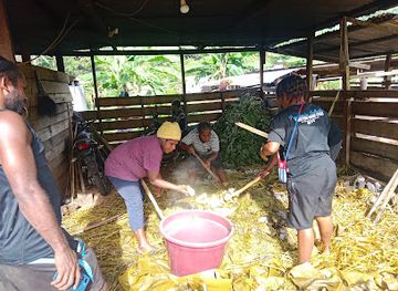 indonesia/southeast-papua/landmark/kampung-suny