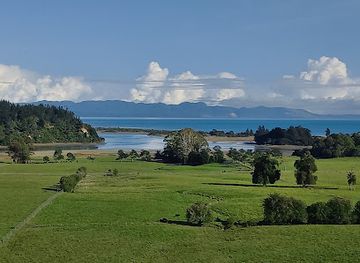 new-zealand/tasman/landmark/the-grove-scenic-reserve