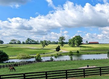 kentucky/lexington/landmark/unique-horse-farm-tours