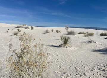 new-mexico/white-sands-national-park/landmark/sunset-stroll-meeting-area