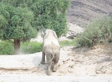 namibia/etosha-national-park/landmark/skeleton-coast-national-park