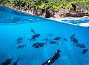 christmas-island/flying-fish-cove/landmark/freedive-christmas-island