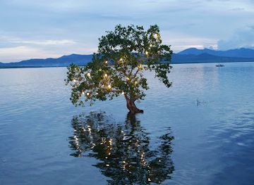 philippines/puerto-princesa/landmark/badjao-seafront-restaurant