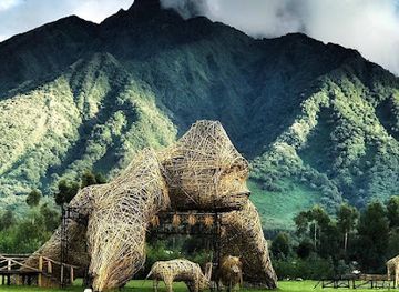 rwanda/volcanoes-national-park/landmark/afri-safaris-tours