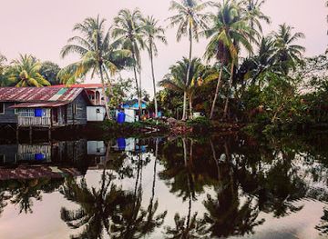 malaysia/kota-kinabalu/landmark/amazing-borneo-tours-events-sdn-bhd-malaysia-hq