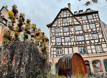 france/strasbourg/landmark/place-des-tripiers