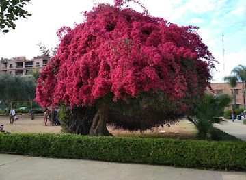morocco/marrakech-region/landmark/parc-el-harti