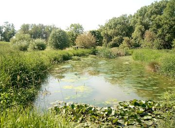 germany/anhalt/landmark/flachennaturdenkmal-laweketal