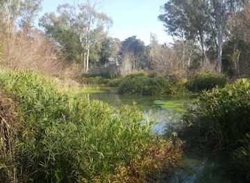 south-africa/johannesburg/sandton/landmark/cumberland-bird-sanctuary