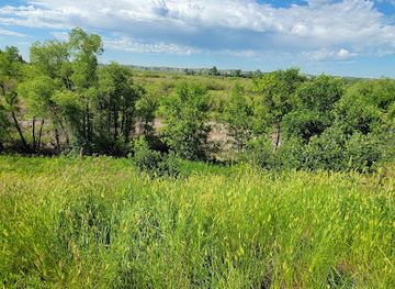 north-dakota/little-missouri-national-grassland/landmark/fort-union-trading-post-national-historic-site
