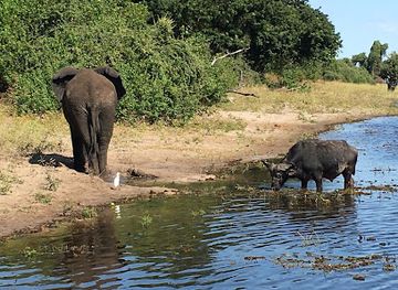 botswana/chobe-district/landmark/chobe-national-park