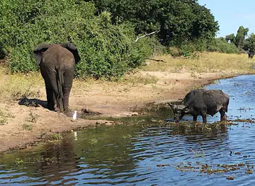 Chobe National Park