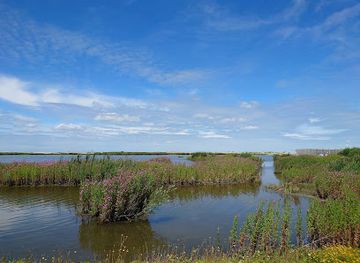 netherlands/flevoland/landmark/marker-wadden