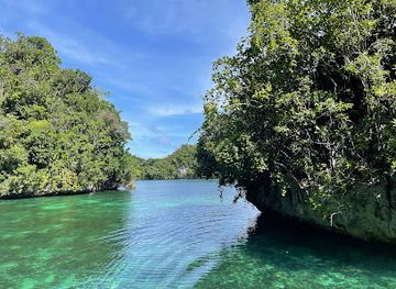 micronesia/koror/landmark/paddling-palau