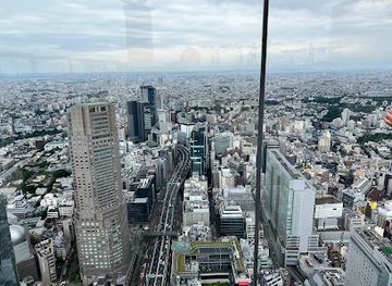 japan/tokyo/landmark/shibuya-scramble-crossing