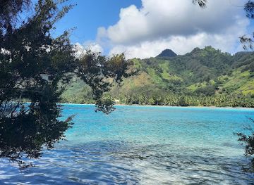 french-polynesia/moorea/landmark/coco-beach-moorea