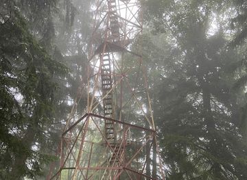 pennsylvania/western-pennsylvania/landmark/little-flat-fire-tower