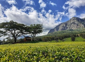 malawi/blantyre/landmark/adventures-with-colby