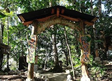 ecuador/oriente/landmark/jungle-roots