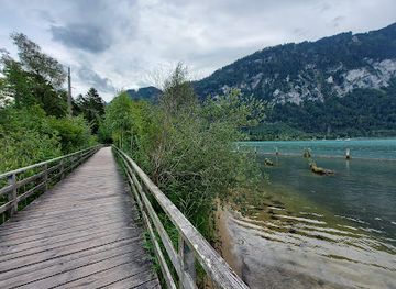 switzerland/interlaken/landmark/naturschutzgebiet-weissenau
