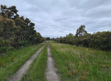 australia/high-country/landmark/french-island-national-park