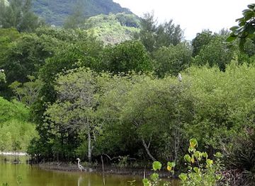 seychelles/cousin-island/landmark/nature-seychelles
