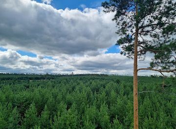 mongolia/selenge-river-basin/landmark/tujiin-nars-tsamhag