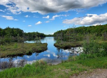 Northern Highland–American Legion State Forest