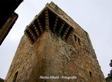 spain/extremadura/landmark/torre-de-los-espaderos