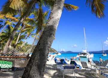 british-virgin-islands/jost-van-dyke/landmark/soggy-dollar-bar
