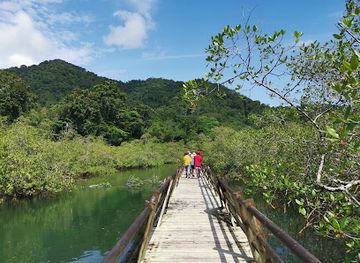 colombia/choco-biogeographic-region/landmark/utria-national-park