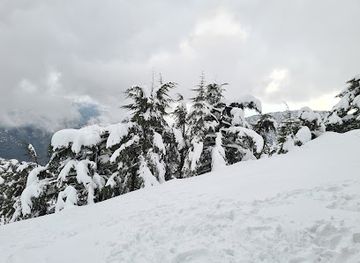 algeria/chrea-national-park/landmark/picnick-chrea