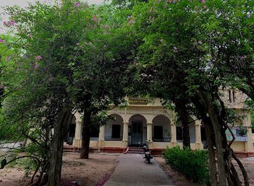 india/chennai/adyar/landmark/adyar-banyan-tree