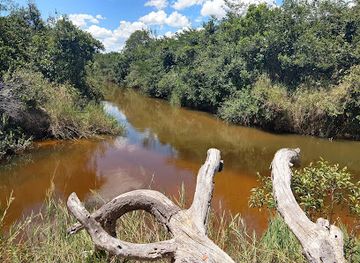 brazil/cerrado/landmark/grande-sertao-veredas-national-park