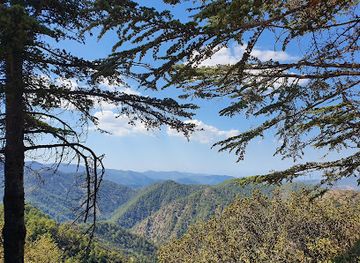 cyprus/machairas-forest/landmark/kykkos-monastery